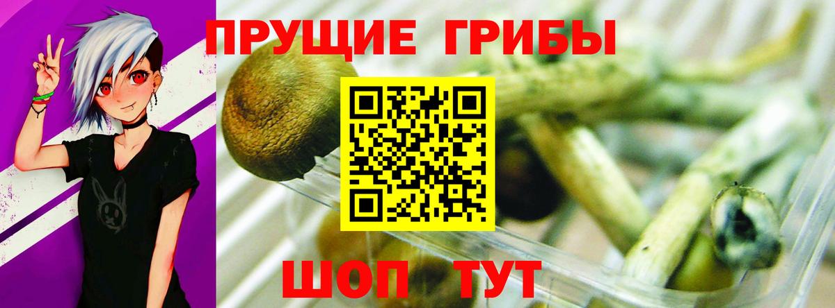 Батайск  Псилоцибиновые грибы мицелий  Вход с VPN 